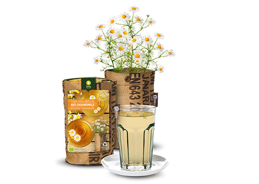 Baza Teagarden Bio Kamille