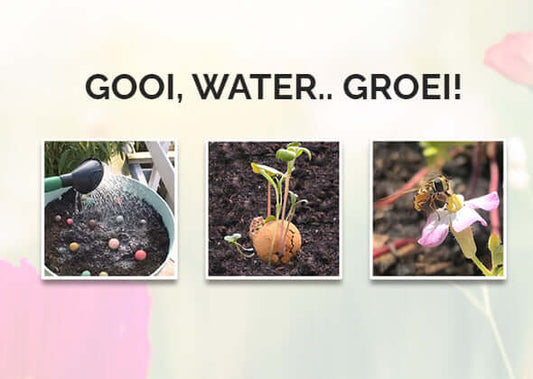 Blossombs Kaart met hanger (1 Blossomb) - Boeket Mama