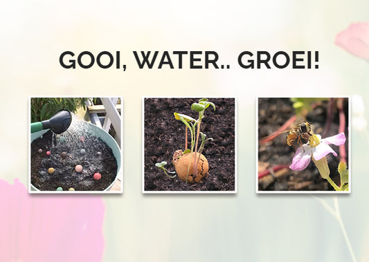 Blossombs Cadeauverpakking (2 Blossombs) - Bedankt dat je mij hebt laten groeien