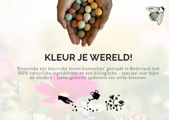 Blossombs Giftbox (7 Blossombs) - Lieve Juf