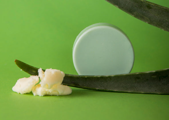 Conditioner Bar Aloe Vera Love - Speeltastisch l Ecotastisch