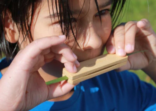 Huckleberry Grasfluitje