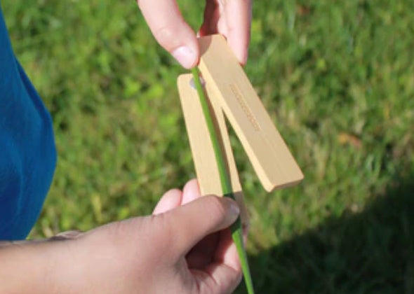 Huckleberry Grasfluitje