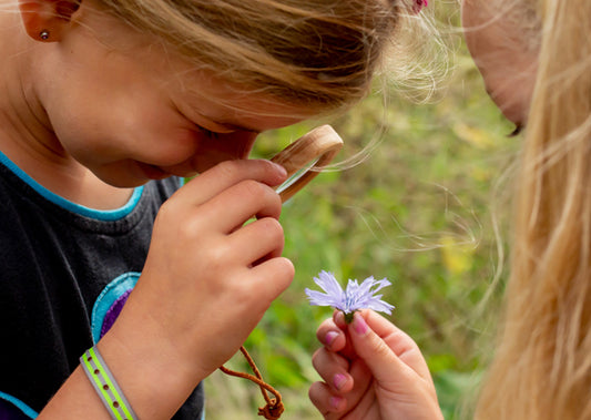 Huckleberry Houten vergrootglas