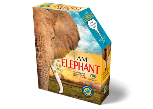 Maddcapp I Am - Olifant