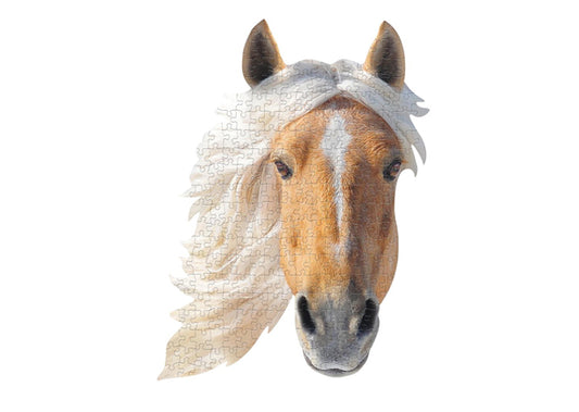 Maddcapp I Am Mini - Paard