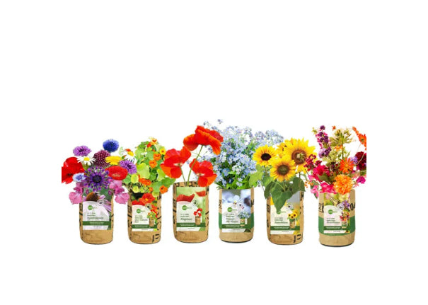 Kweektuintje Bloemen - Speeltastisch l Ecotastisch