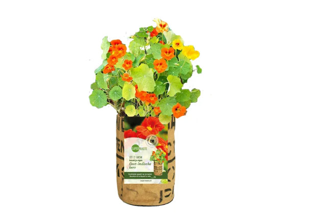 Kweektuintje Bloemen - Speeltastisch l Ecotastisch