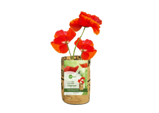 Kweektuintje Bloemen - Speeltastisch l Ecotastisch