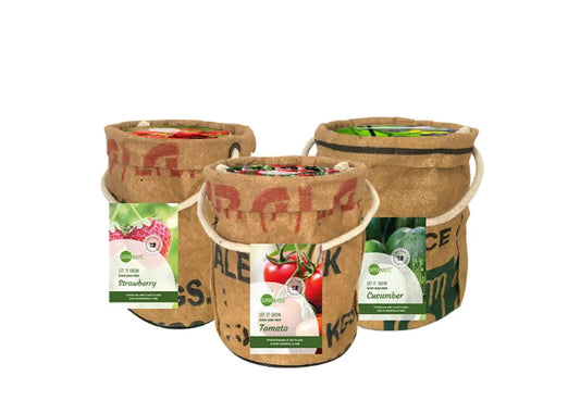 SuperWaste Kweektuintje Veggie en Fruittie