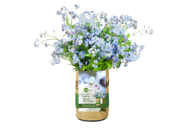 Kweektuintje Bloemen - Speeltastisch l Ecotastisch