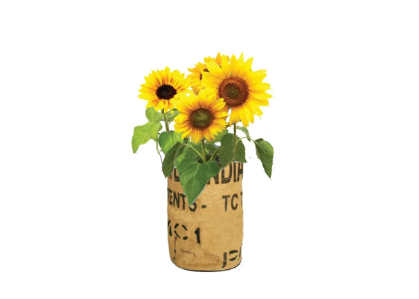 Kweektuintje Bloemen - Speeltastisch l Ecotastisch
