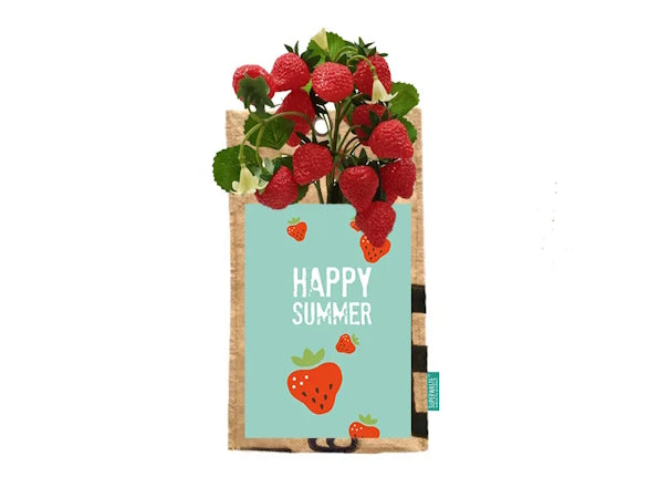 SuperWaste Hangtuintje met kaart Happy Summer