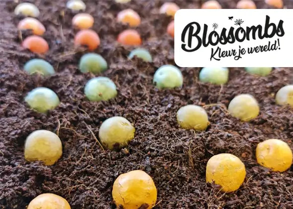 Blossombs