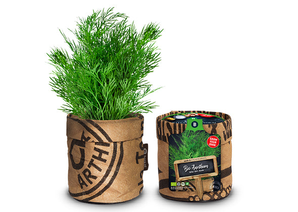 Baza Kitchengarden Bio Dille