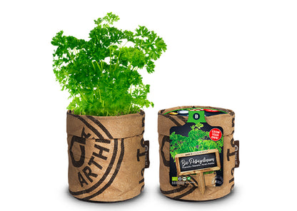 Baza Kitchengarden Bio Peterselie