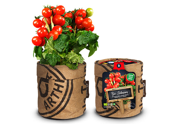 Baza Kitchengarden Bio Tomaat