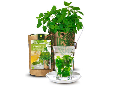 Baza Teagarden Bio Citroenmelisse
