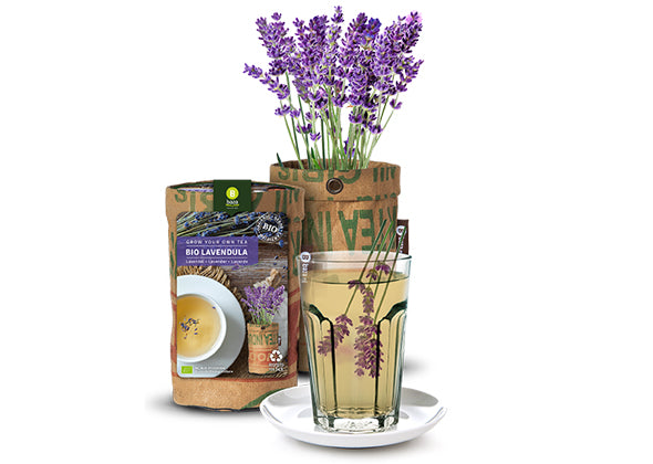 Baza Teagarden Bio Lavendel