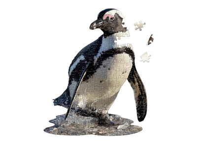 I Am Lil - Pinguin