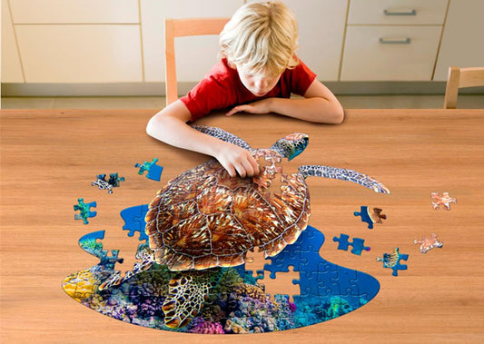 I Am Lil - Schildpad