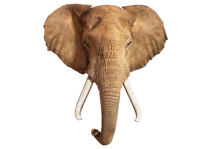 Maddcapp I Am - Olifant
