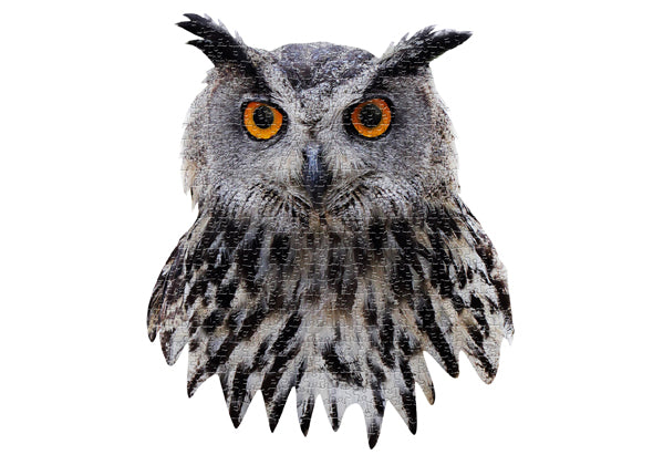 I Am - Uil