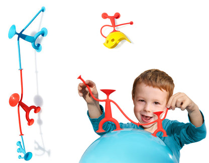 Moluk Oogi (Family pack)