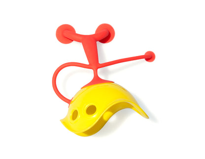 Moluk Oogi Junior