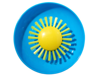 Moluk Pluï Sunny