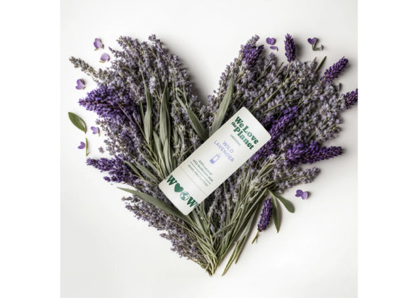 Deodorant stick - Wild Lavendel